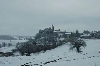 Farnetta