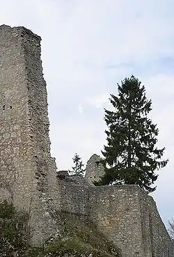 Image illustrative de l’article Farnsburg