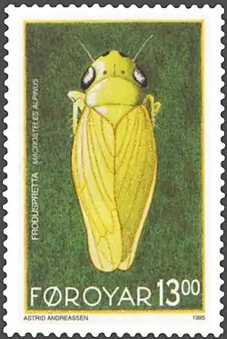 Macrosteles alpinus.