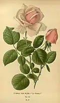 'La France' (1867)