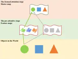 Image en trois parties, dans laquelle trois objets (en bas) sont identifiés séparément (au milieu) par leur couleur et leur forme avant d'être identifiés (en haut) comme objets possédant ces caractéristiques.