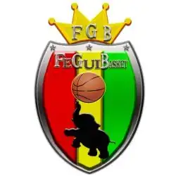 alt=Écusson de l' Équipe de Guinée