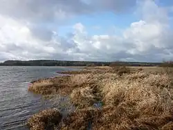 L'étang du Boulet.