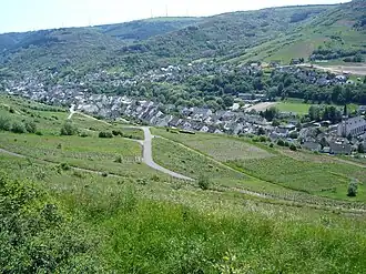 Fell (Rhénanie-Palatinat)