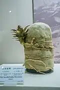 Chapeau en feutre de la Princesse de Xiaohe.