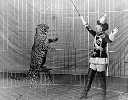 Femme domptant un léopard en 1906.