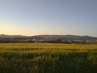 Fernana