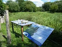 Les résultats d'une animation nature, dans le marais de Fesques, sur les bords de l'Eaulne, Normandie.