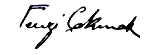 signature de Fevzi Çakmak