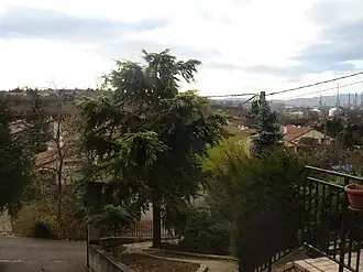 Feyzin