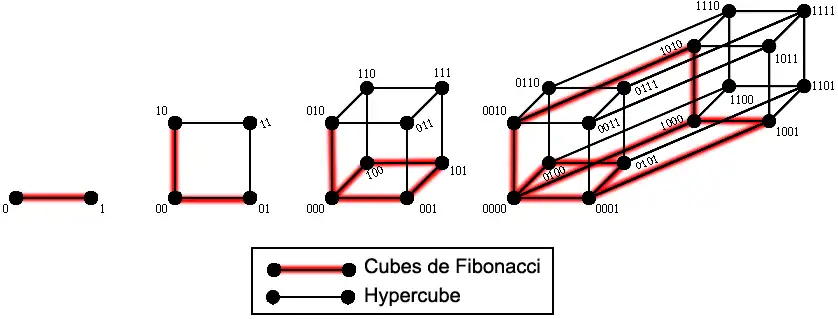 Les cubes de Fibonacci
F
C
1
,
F
C
2
,
F
C
3
,
F
C
4
{\displaystyle FC_{1},FC_{2},FC_{3},FC_{4}}
comme sous-graphes des hypercubes
Q
1
,
Q
2
,
Q
3
,
Q
4
{\displaystyle Q_{1},Q_{2},Q_{3},Q_{4}}
.