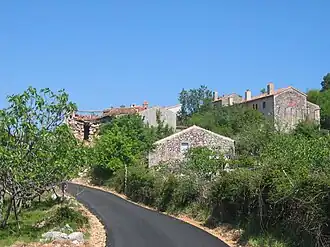 Filozići