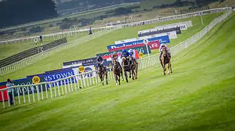 Image illustrative de l’article Hippodrome du Curragh