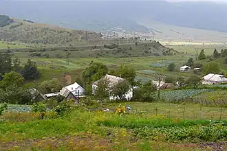 Fioletovo