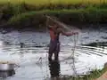 Pêcheur