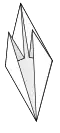 Base du poisson