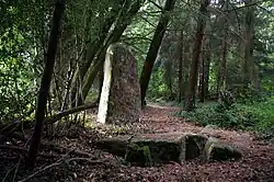 Menhir de Fixard