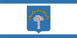 Drapeau de Tcherven