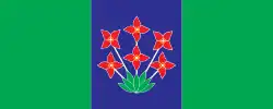 Drapeau de Šalovci