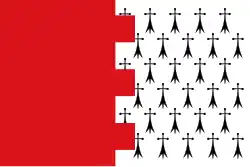 Drapeau de Almanza