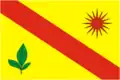 Drapeau du district