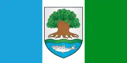 Drapeau de Astravets