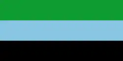 Drapeau de Bajo Baudó