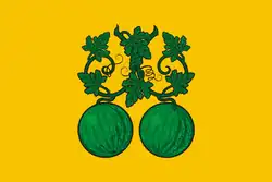 Drapeau de Balachov