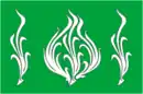 Drapeau de Beloussovo