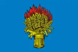 Drapeau de Beliov