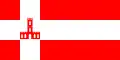 Drapeau du Raïon de Berchad