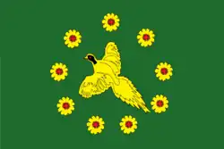Drapeau de Raïon de Bikine