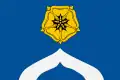 Drapeau du district