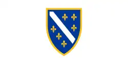 Drapeau de la Bosnie-Herzégovine (1992-1998).