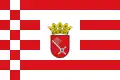 Drapeau administratif avec l'écusson central