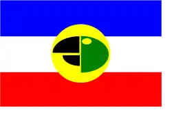 Drapeau de Carepa