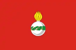 Drapeau de Tchapaïevsk
