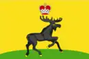 Drapeau de Tcherdyne