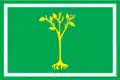Drapeau du district