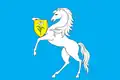 Drapeau du district