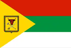 Drapeau de Raïon de Tchita