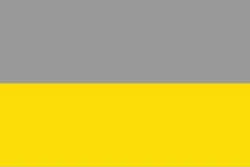Drapeau de Condoto