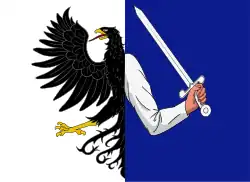 Drapeau du Connacht