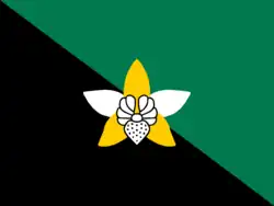 Drapeau de Enga