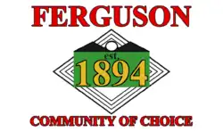 Drapeau de Ferguson