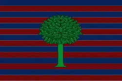 Drapeau de Floresta