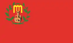 Drapeau de Gazi Baba