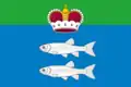 Drapeau du district