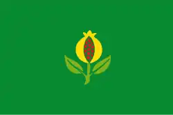 Drapeau de Granada
