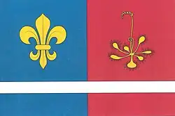 Drapeau de Hojkov